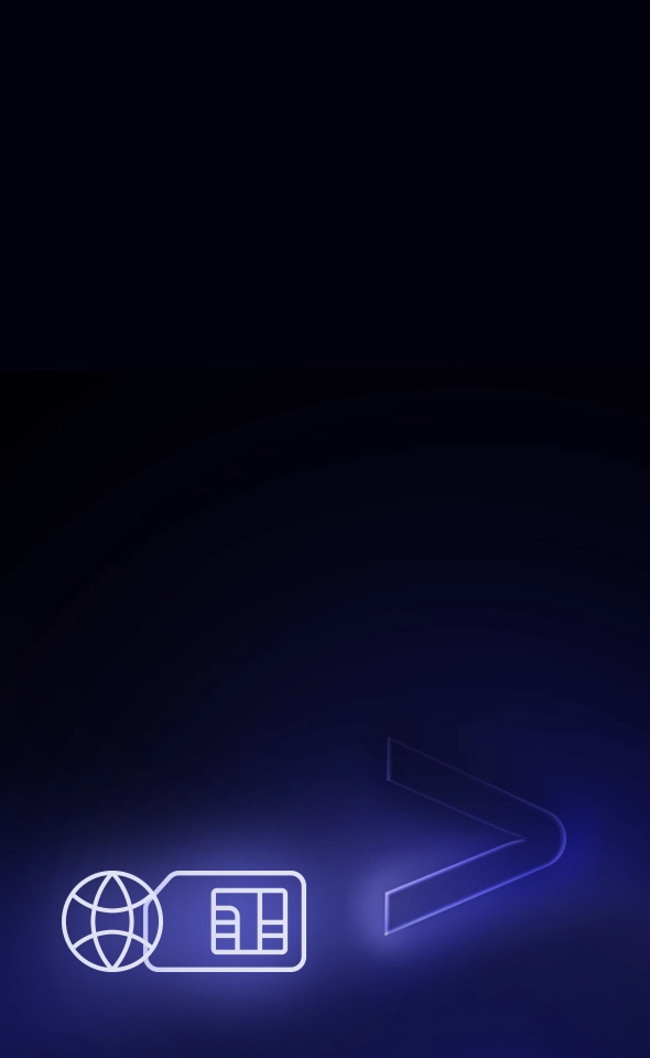 Ikona znázorňujúca bezplatný internet po celom svete, čo je jedna z funkcií zariadení Vasco.